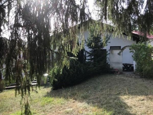 Das Haus vom Garten aus 